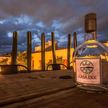 Hotel Casa Olie Oaxaca Zewnętrze zdjęcie