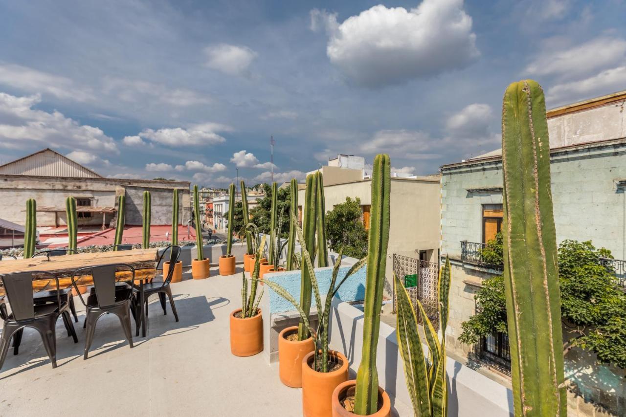 Hotel Casa Olie Oaxaca Zewnętrze zdjęcie